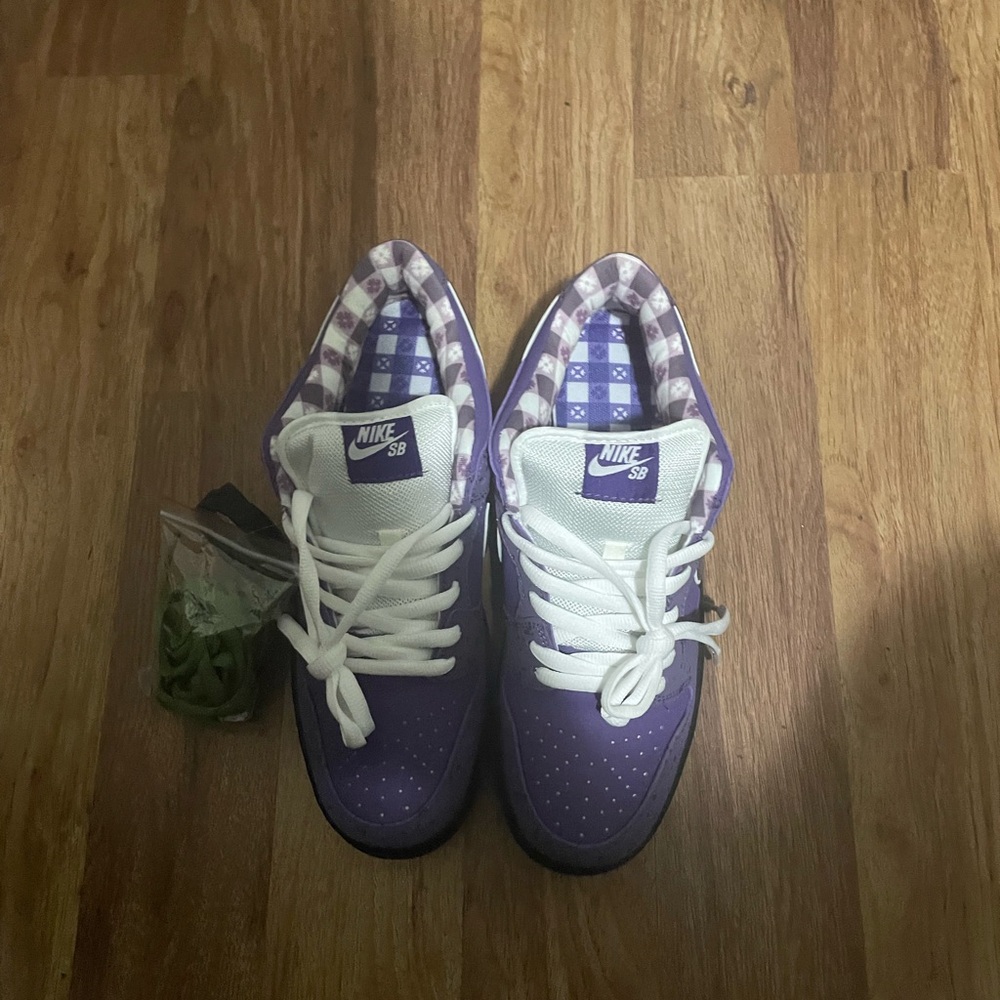 Sb dunk , never worn and are an very good conditions